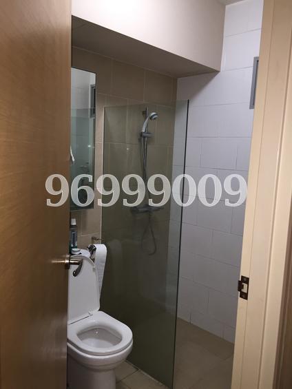 Blk 515C The Premiere @ Tampines (Tampines), HDB 5 Rooms #121879772